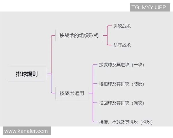 北京排球队反击体系解析：战术运用与实战效果探讨