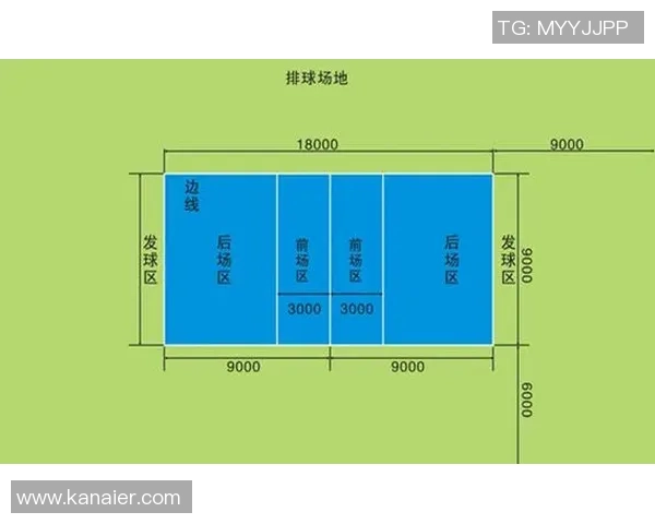 武汉排球队技术对比深度分析与未来发展趋势探讨 武汉排球队技术对比深度分析与未来发展趋势探讨