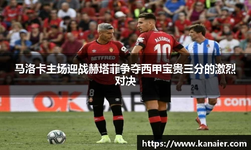 yy易游体育
